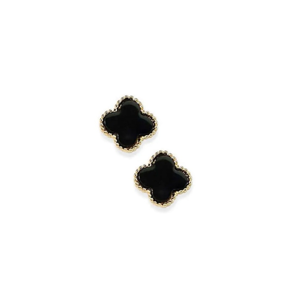 Park Lane “Icon” Earrings in Black! BNIB!!